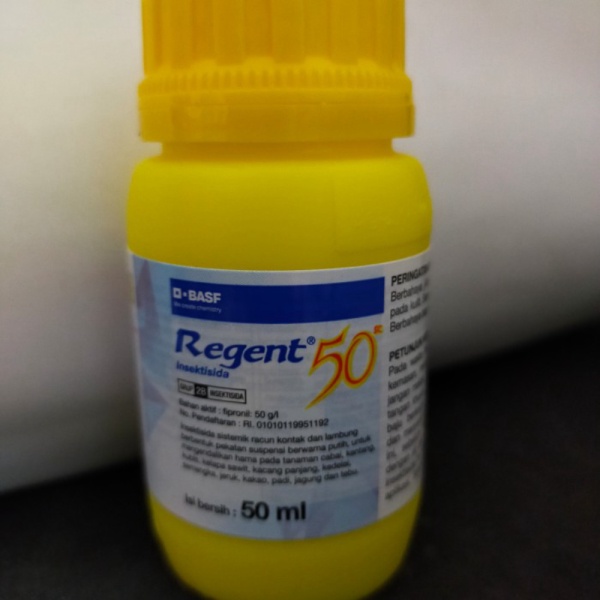 Promo RACUN SEMUT REGENT INSEKTISIDA 50ML Murah