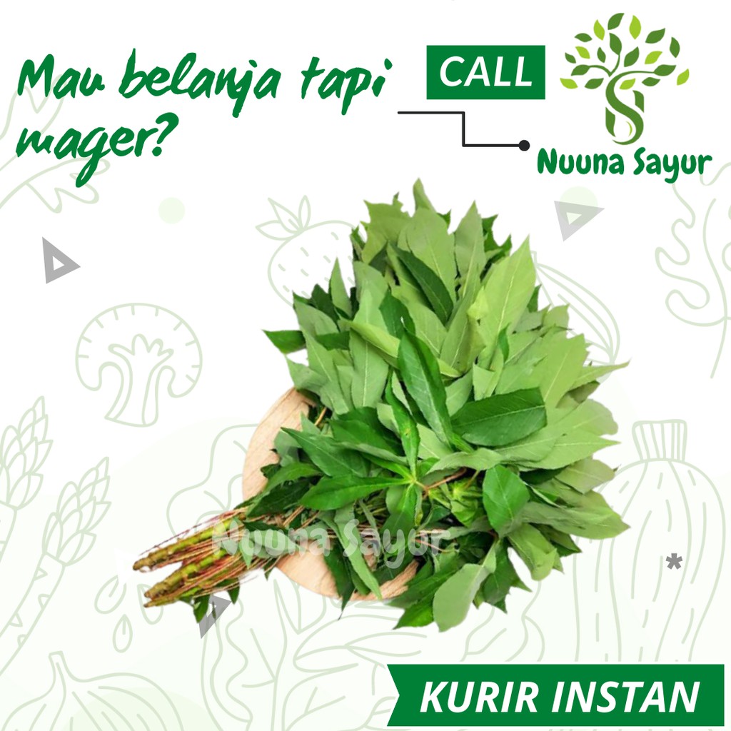 

Daun Singkong Per Ikat