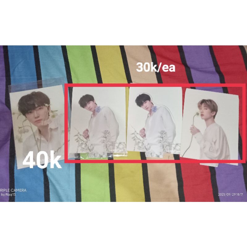 standee candylab jaemin jisung