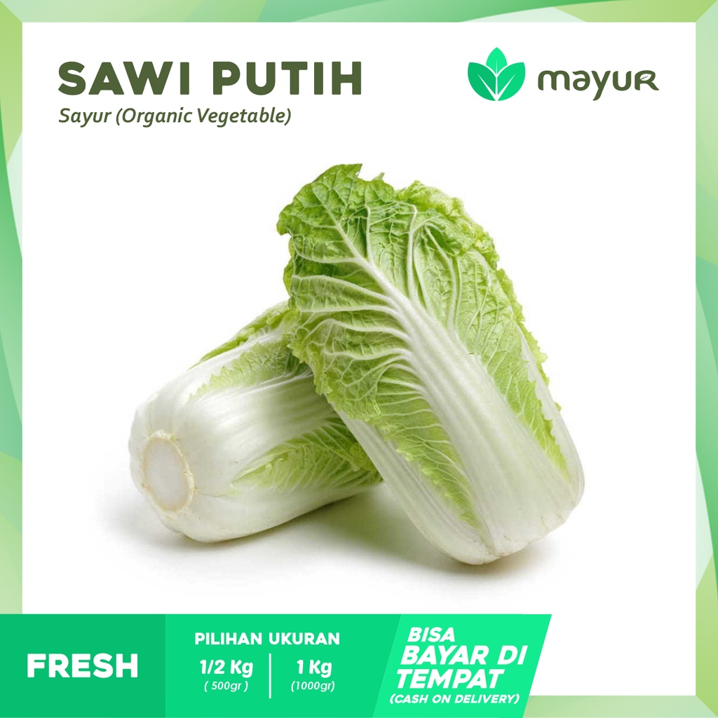 

Sawi Putih Segar 1 pcs (500 gr | 1 kg)