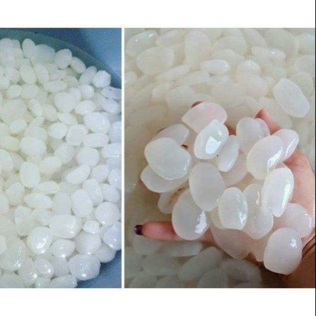 

Buah kolang kaling muda segar 1000gram empuk alami kolangkaling tidak asam RIE_78