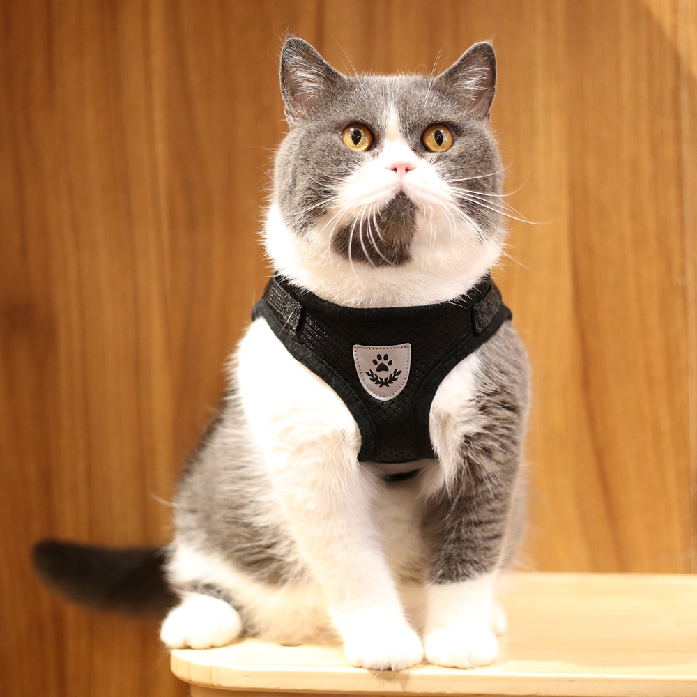 Rompi Harness Breathable Adjustable Anti Kabur Untuk Anjing / Kucing