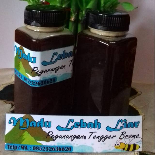 

Madu lebah liar asli