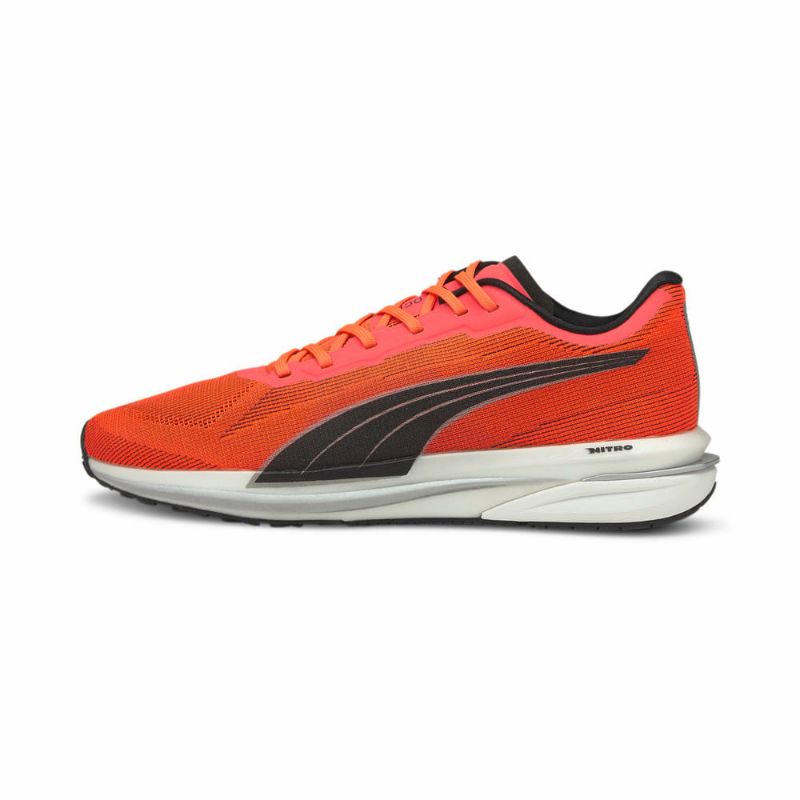 puma velocity nitro spectra