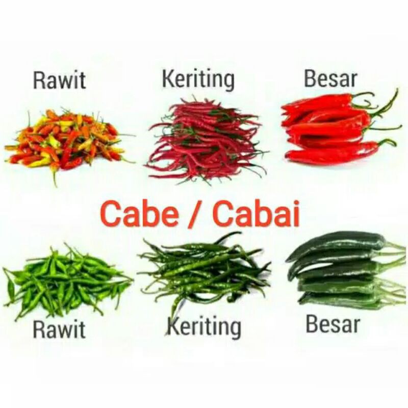 

Cabai merah kriting/Ijo kriting/rawit merah/rawit ijo/merah gede/ijo gede