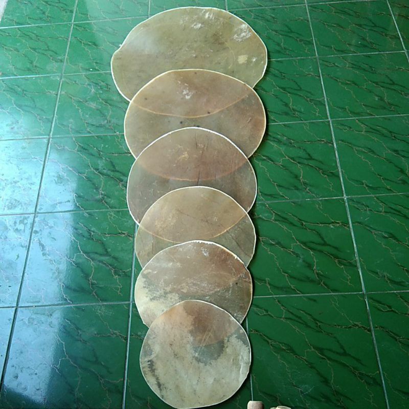 kulit sapi bahan kendang