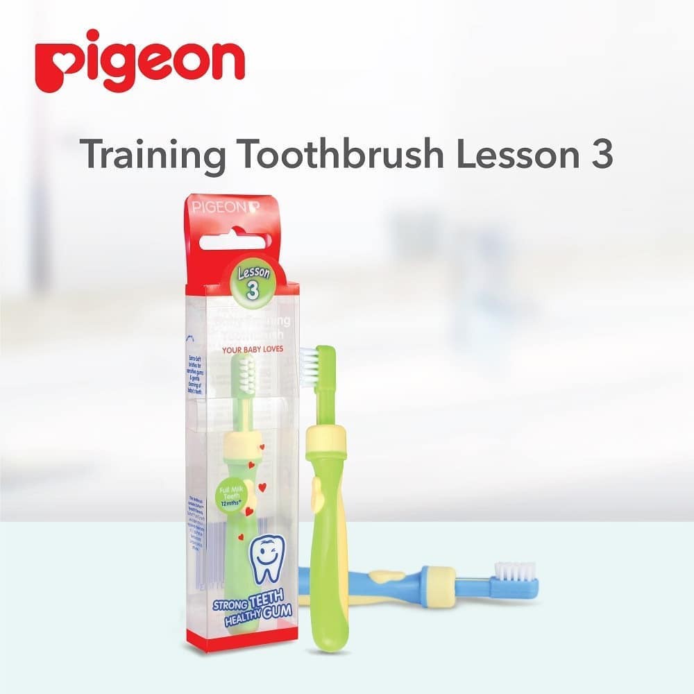 PIGEON TRAINING TOOTHBRUSH LESSON 1 2 3 / TOOTHBRUSH / PIGEON