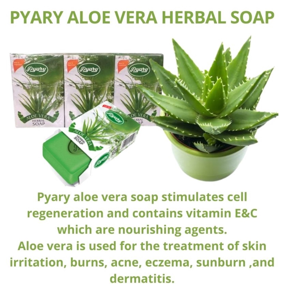 SABUN PYARY ALOE VERA || SABUN LIDAH BUAYA 100 % ORIGINAL