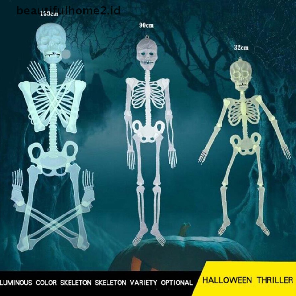 (Beautifulhome2.Id) Tengkorak Manusia Ukuran 32 / 90 / 150cm Untuk Dekorasi Pesta Halloween