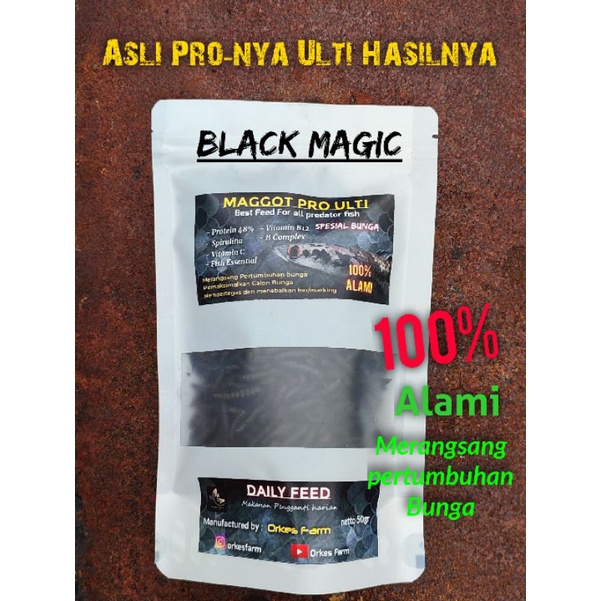 Maggot Pro Ulti (black)