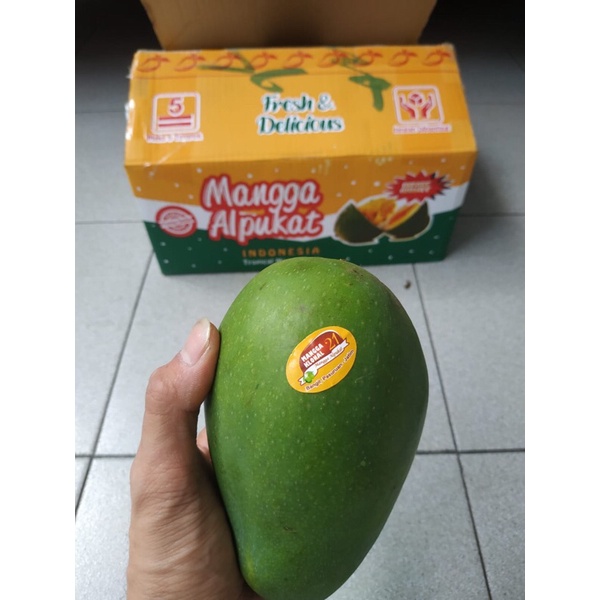 

Mangga Alpukat 1 Dus (10 KG) Fresh