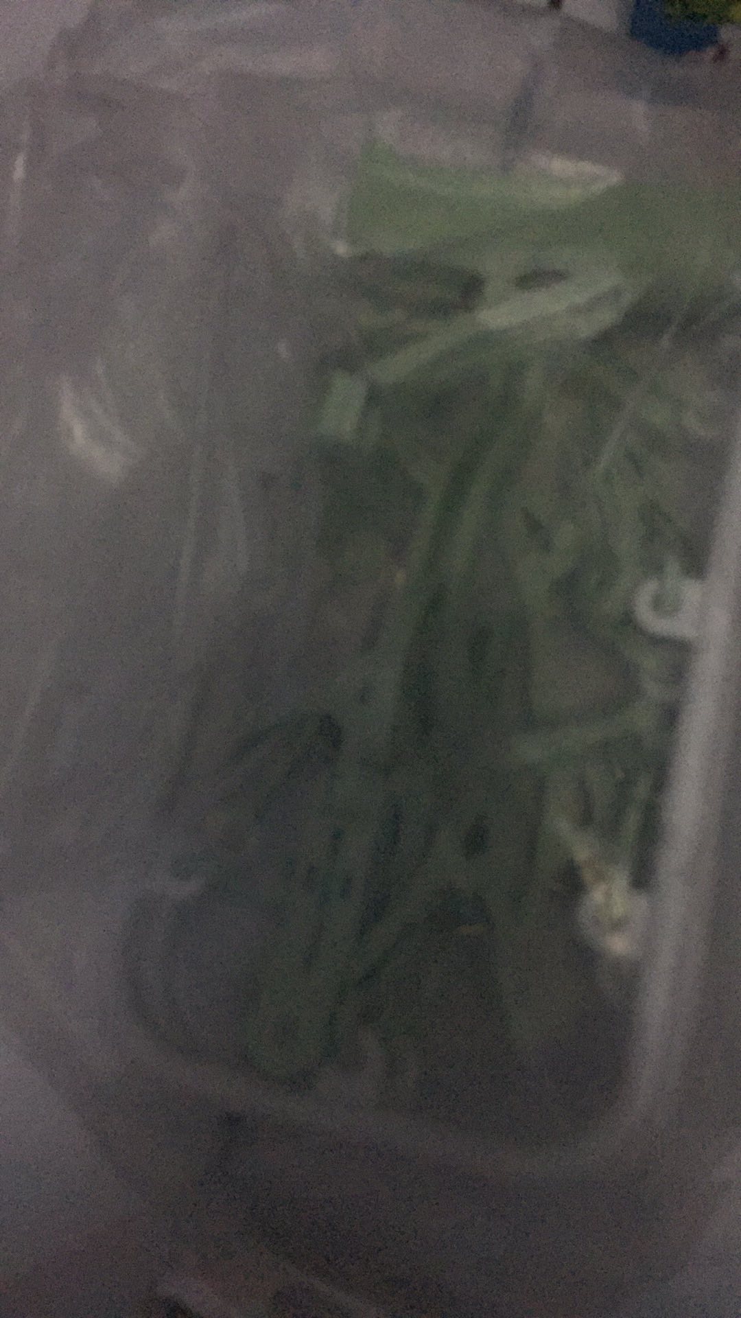 Jemuran Baju Lipat Hanger Gantungan Penjepit Kaos Kaki 10 Biji Jepitan