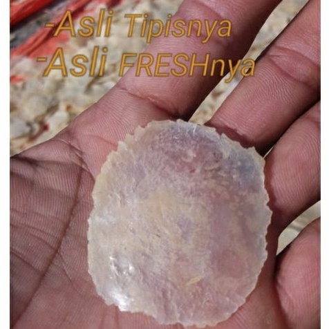 

Sekar_Shop07 Emping Melinjo Fresh Super Tipis Biji 1 /1Kg (Kering Pasar) Asli Limpung