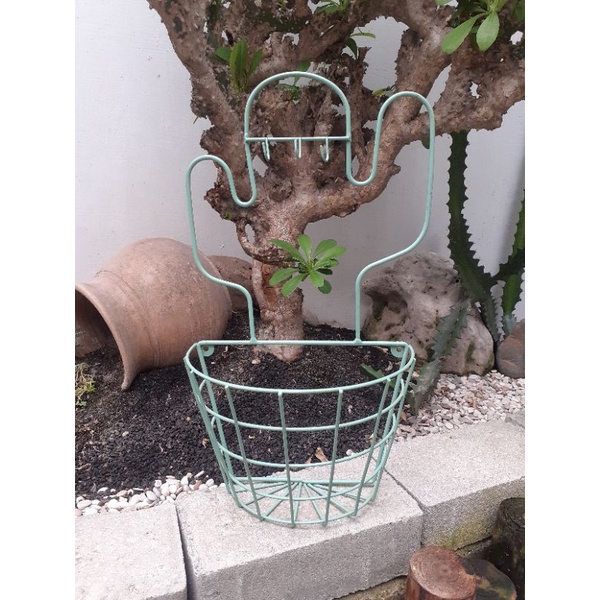 Rak Dinding Tanaman | Pajangan | Home decor | Asthetic Decor