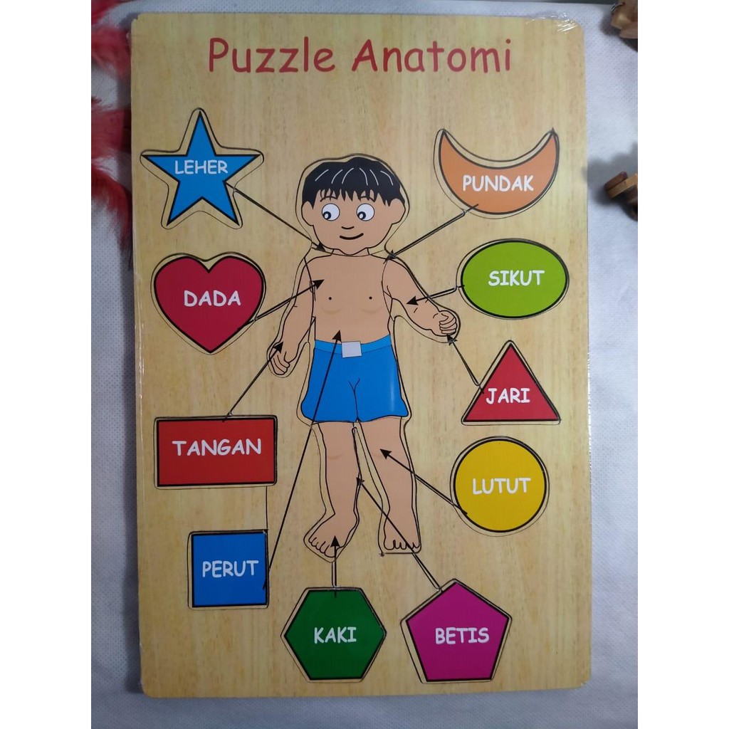 PUZZLE KAYU / MAINAN EDUKASI / PUZZLE GAMBAR ANATOMI TUBUH. RIENS COLLECTIONS