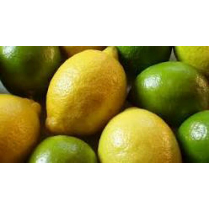 

jeruk lemon