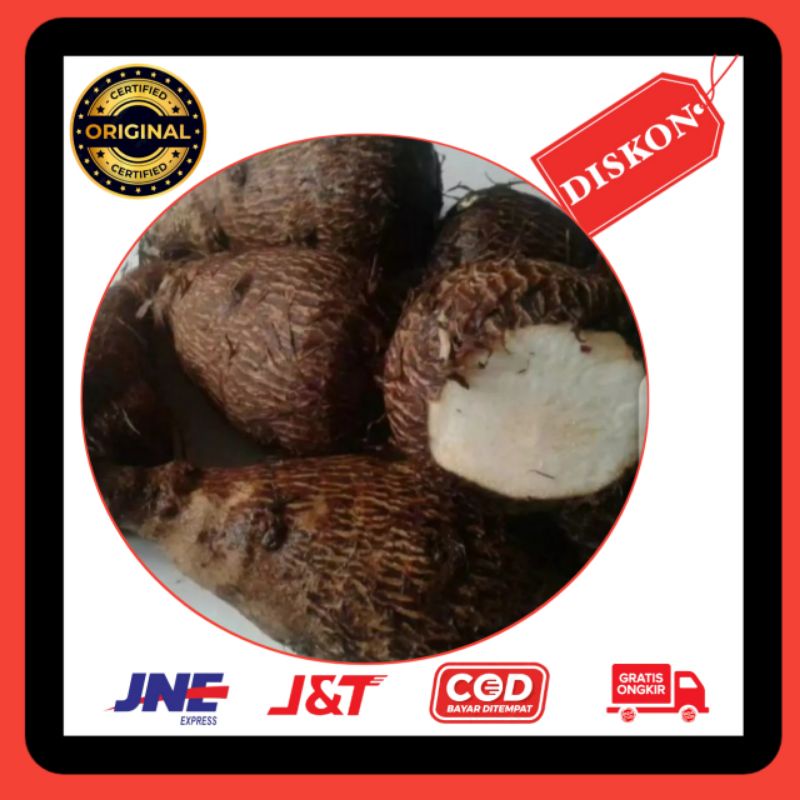 Jual Talas bogor talas mentah ubi talas bahan keripik talas Shopee Indonesia