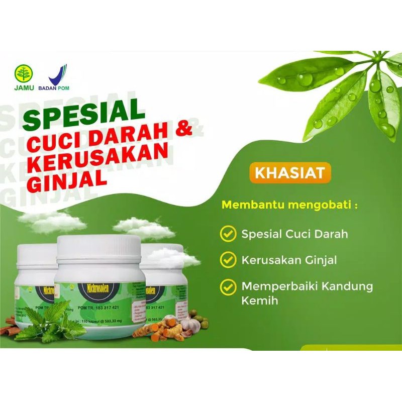 OBAT HERBAL MICHROSOLEN SPESIAL CUCI DARAH DAN KERUSAKAN GINJAL PUSPITA RADJA