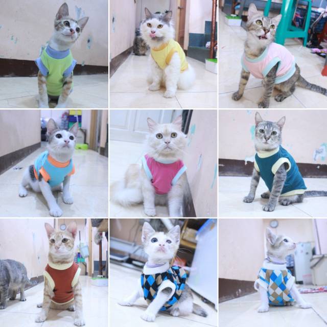 Baju kucing dropship pilih dulu sebelum memesan / baju kucing dan anjing murah size S-XL