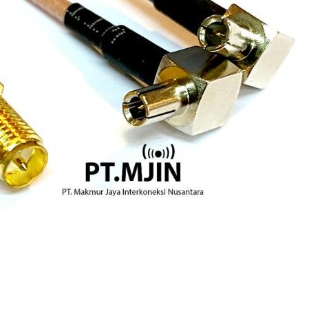 Kabel Jumper Pigtail RP SMA female ke Dual TS9 panjang 30cm