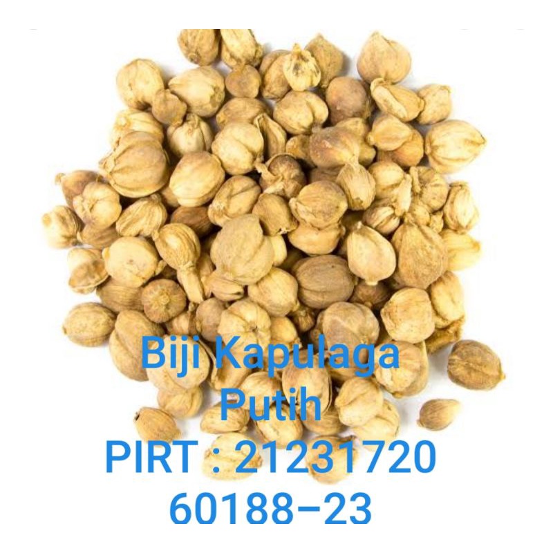 

KAPULAGA PUTIH 500 GR / WHITE CARDAMON LOKAL 500GR