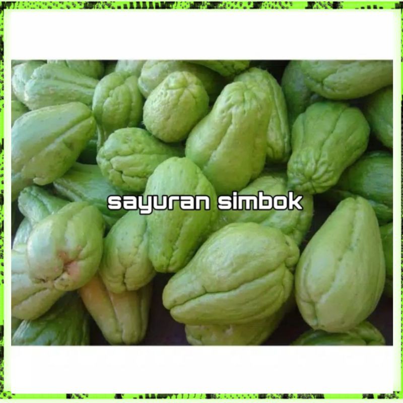 

Labu Siam segar perbiji 4000