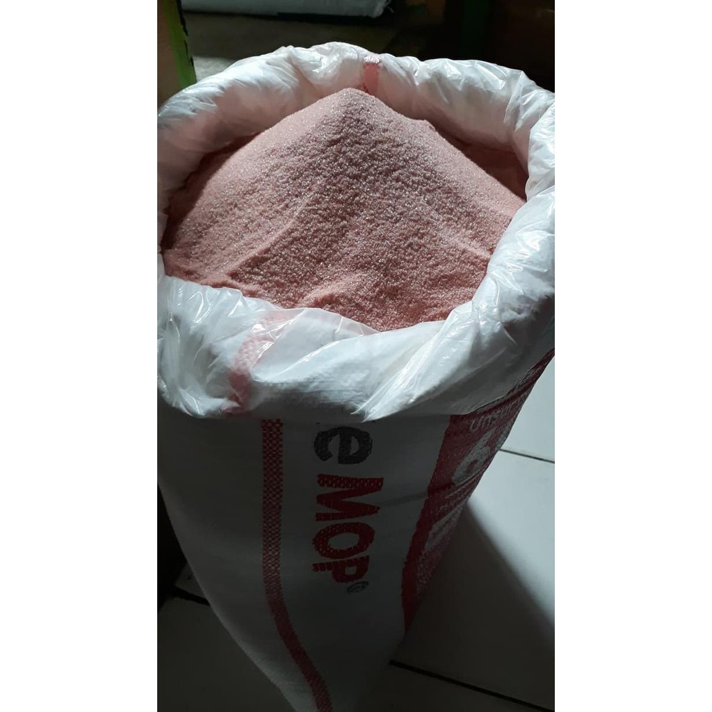 Ini Pupuk Kcl-Mop Jerman Segera Beli