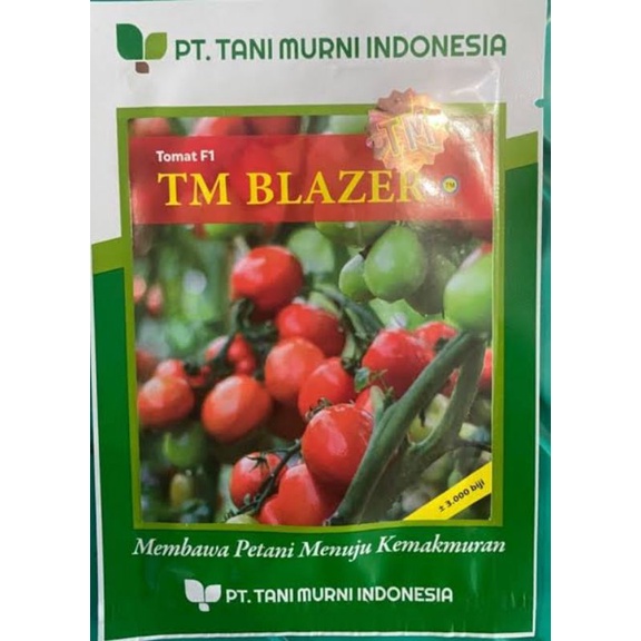 Benih TOMAT TM BLAZER F1 10 GRAM
