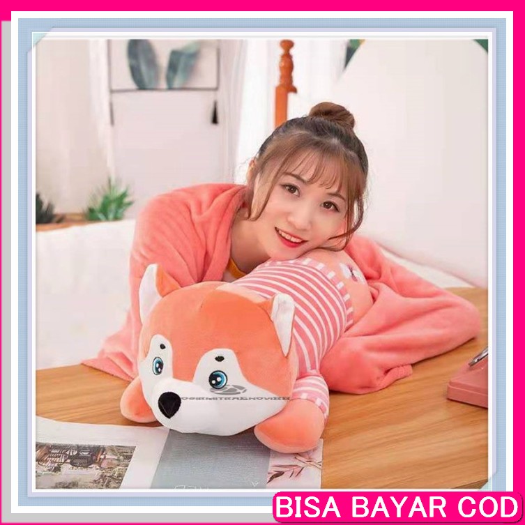 Model Baru Balmut 2 In 1 Bantal Selimut Karakter Lucu Lucu 39 Bal AH715 Balmut 2 In 1 Boneka Besar