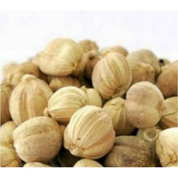 

Rempah Rempah KAPULAGA ( @ 500 Gram )