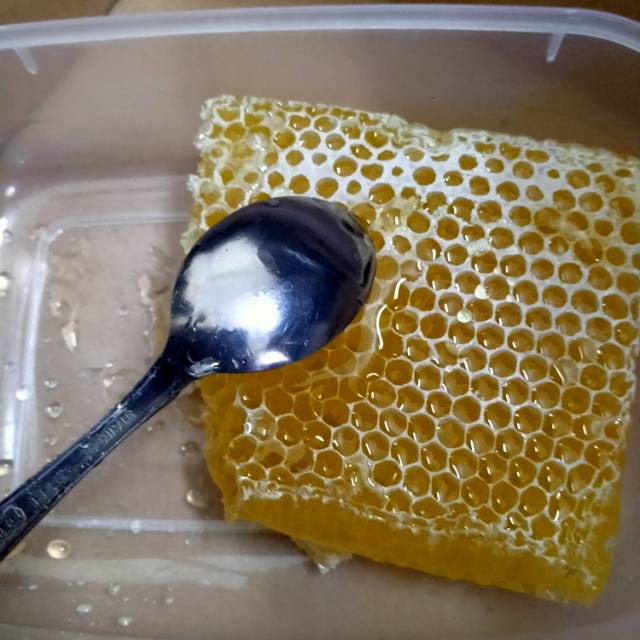 

Madu Sarang dan Madu Botolan (madu Murni 100%)