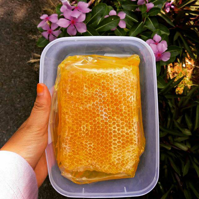 

Sarang madu melifera 500 gram asli