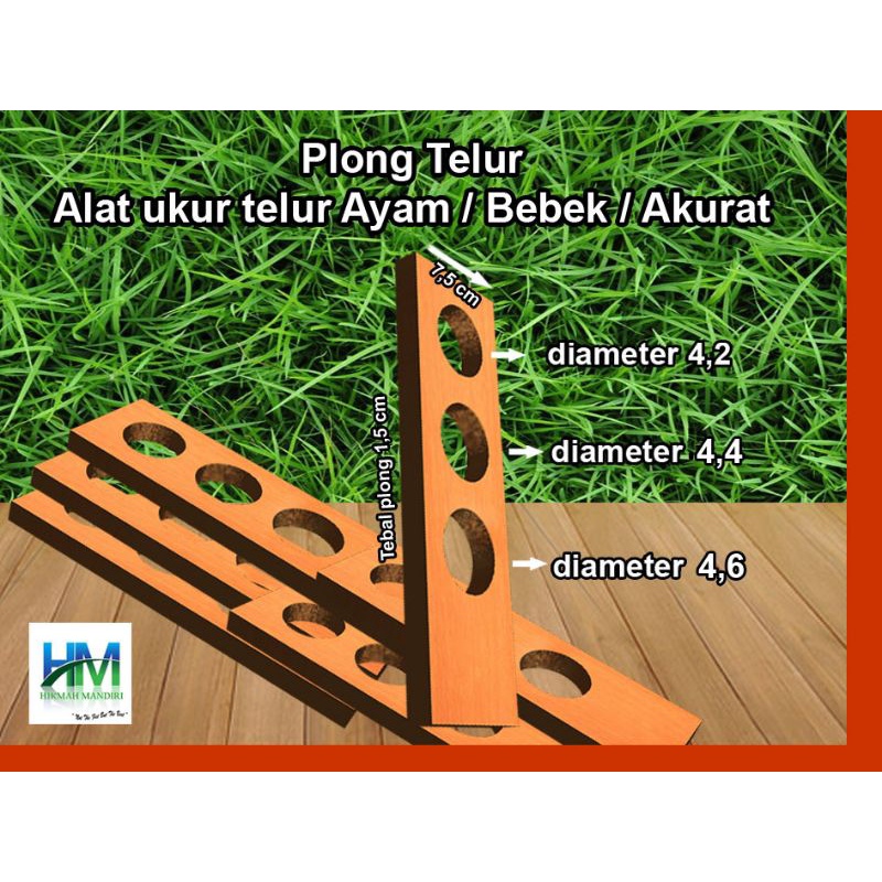 PLONG TELUR BEBEK DAN AYAM ALAT UKUR TELUR AYAM DAN BEBEK