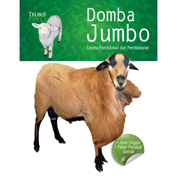 Exo Domba Jumbo YUFABUKU