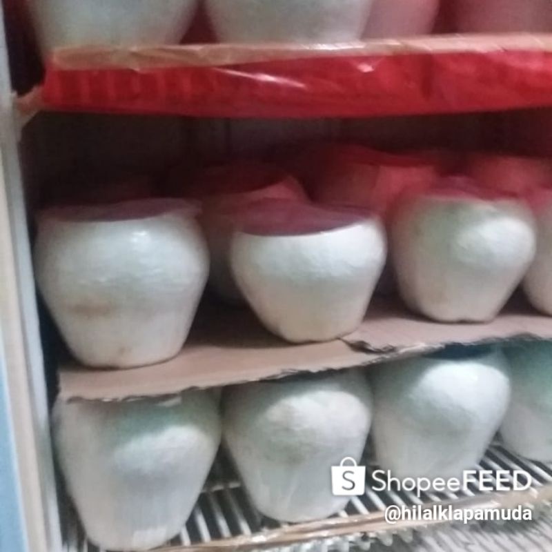 

klapa jely toping buah