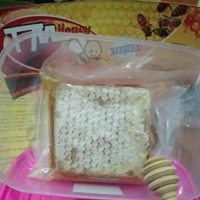 

Sarang madu asli melifera
