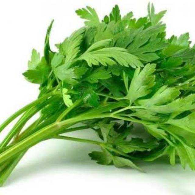 

Daun seledri 150g