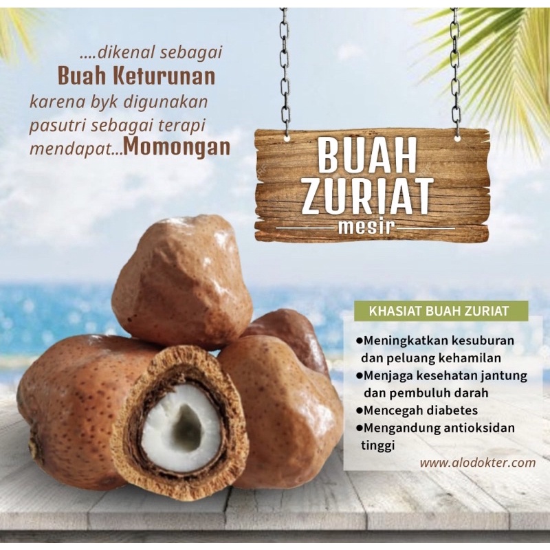 

Buah Zurriyat Mesir 1 Kg