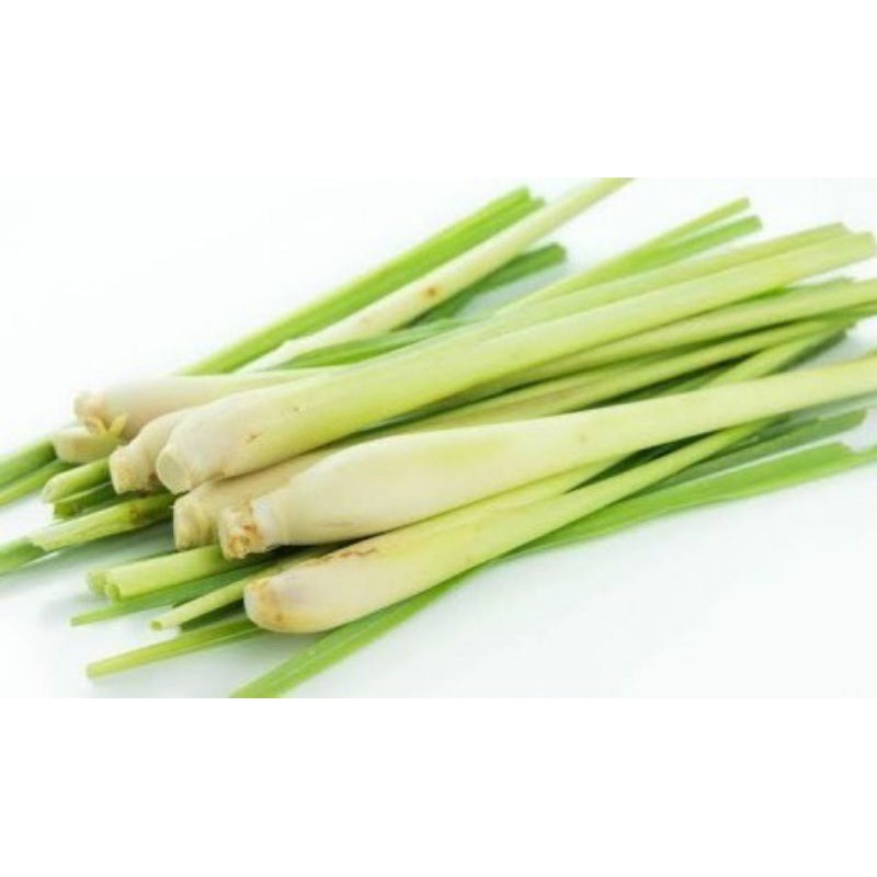 

Batang Serai Segar, Bumbu Masakan