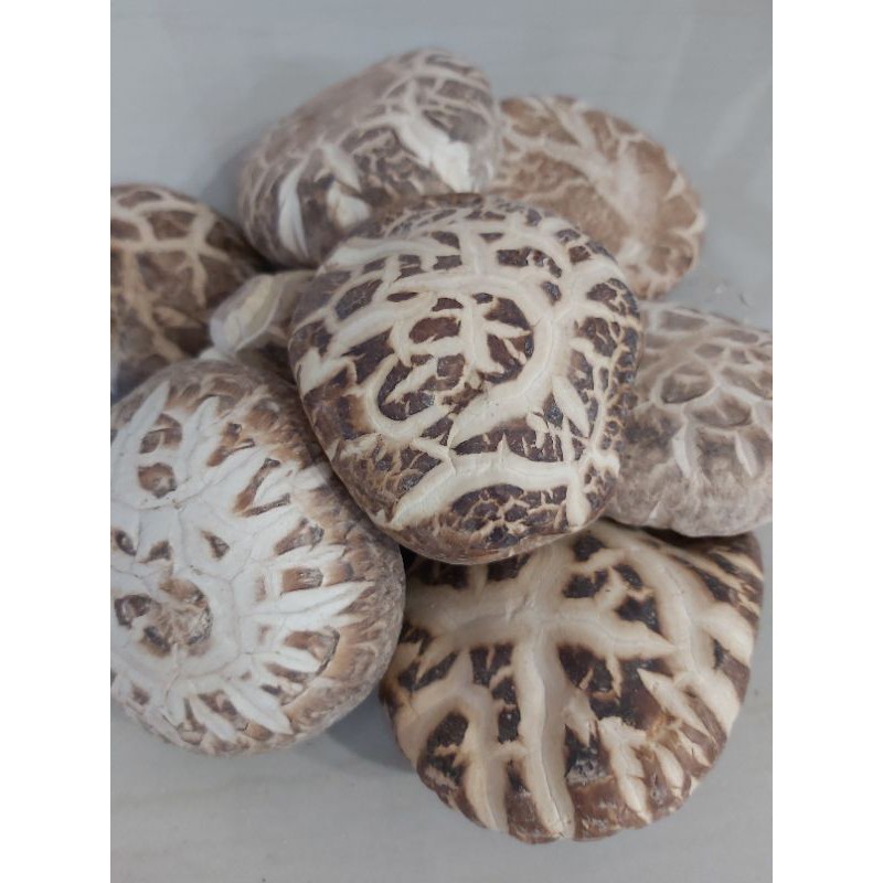 Jamur Shitake / Hioko Kering