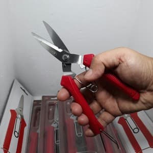 

Gunting Pruning