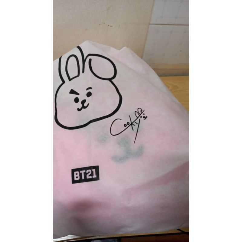 BT21  CUSHION 42CM