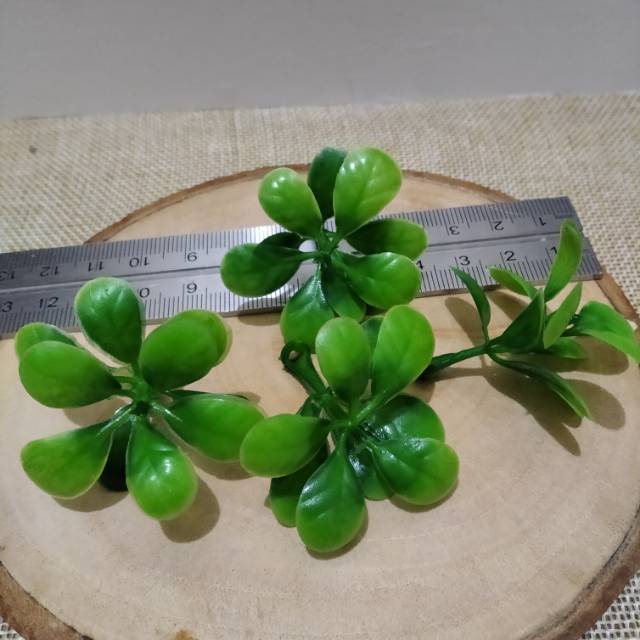 

Aplikasi daun plastik