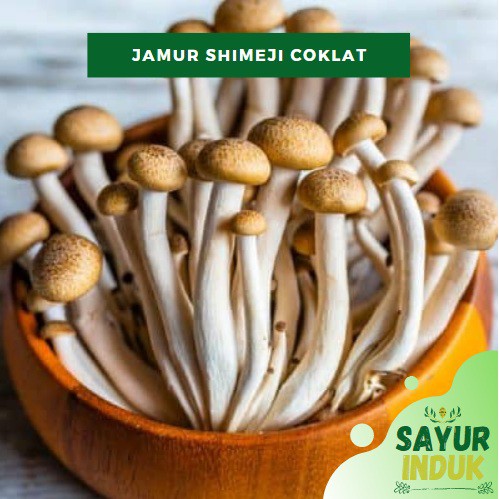 

Sayur Induk - Jamur Shimeji Coklat Per Pack 150 Gram Fresh Grade A Brown Shimeji Mushroom