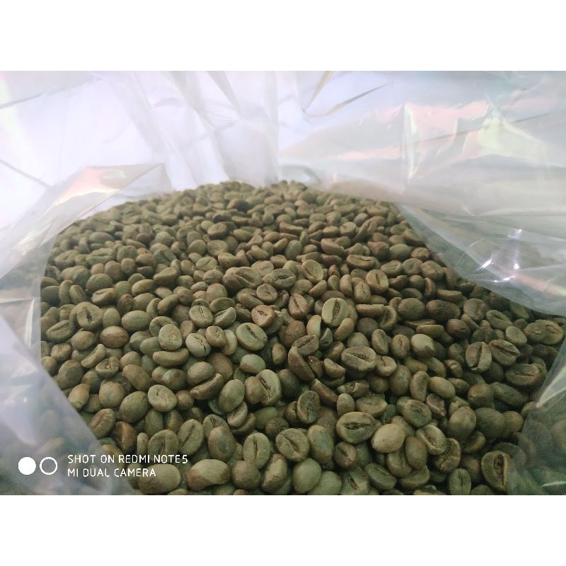 

GREAN BEEN ROBUSTA KOPI MELUNG/ASLI PETIK MERAH