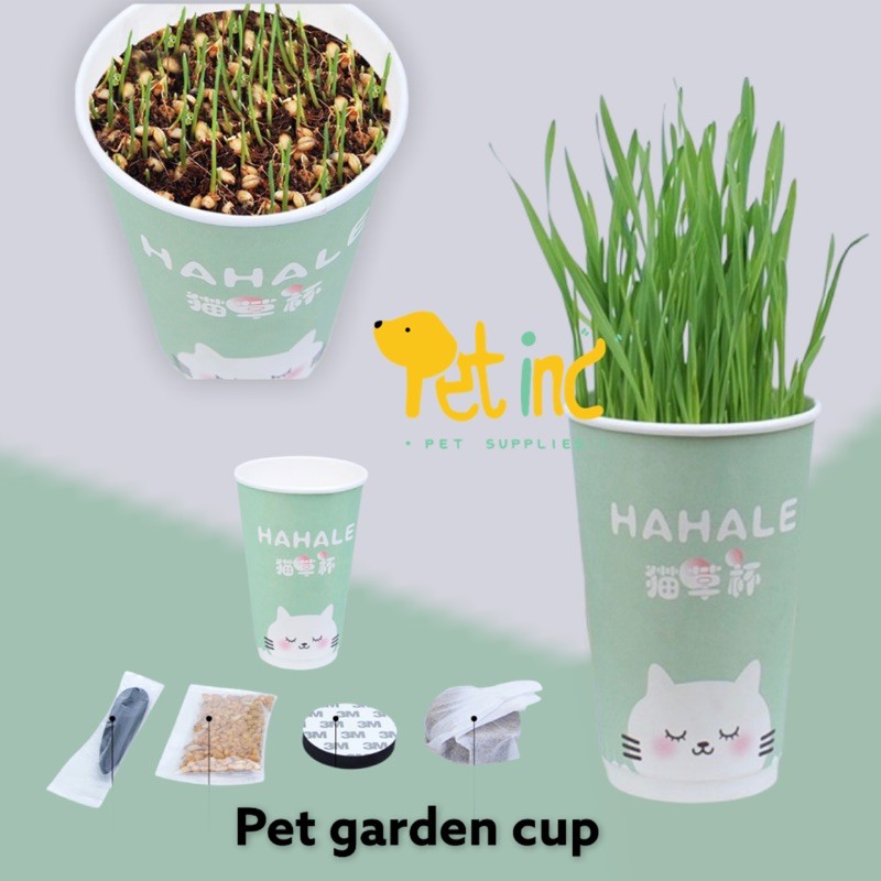 PET GRASS GARDEN CUP