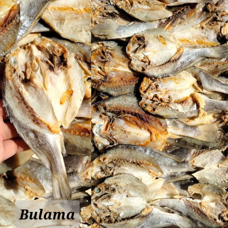 

Ikan Asin Kepala Batu / Bulama 1kg