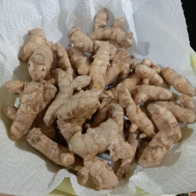 

temupo / lalapan temupoh