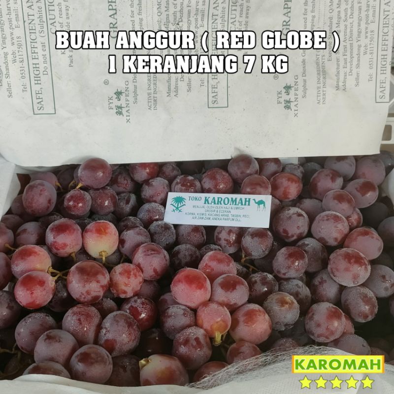 Jual Buah Anggur 1 Keranjang Buah Anggur 1 Dus Besar Isi Fresh 7 Kg