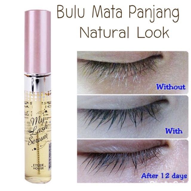 Etude House My Lash Serum pemanjang bulu mata